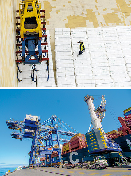 Coronel Container Terminal Puerto Coronel: La gran apuesta del principal terminal del Biobío ...